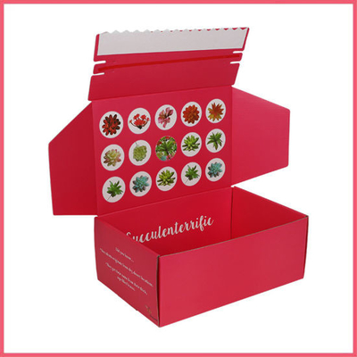 Caixa de envio de correspondência colorida Pantone brilhante fosca laminação caixas de correspondência coloridas