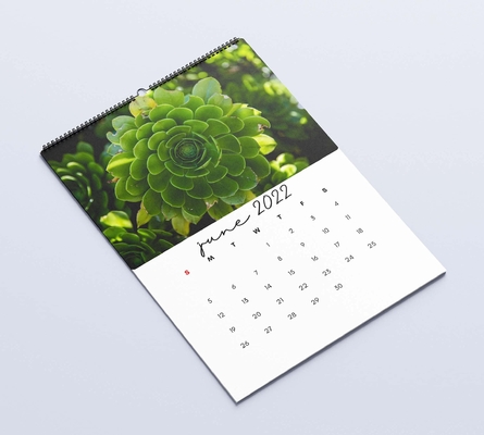 Impressão de calendário de mesa com laminação fosca 600-1000gsm Calendários de parede mensais