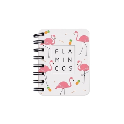 Cadernos de moda A4 fofinhos 70 g/m² Mini caderno de encadernação espiral em espiral